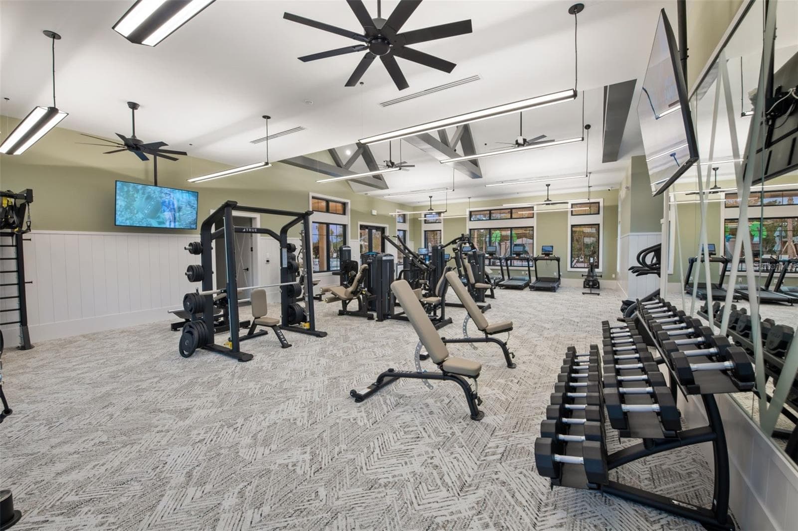 Fitness Center - 6659 BLAZING SPIRIT ST, WESLEY CHAPEL