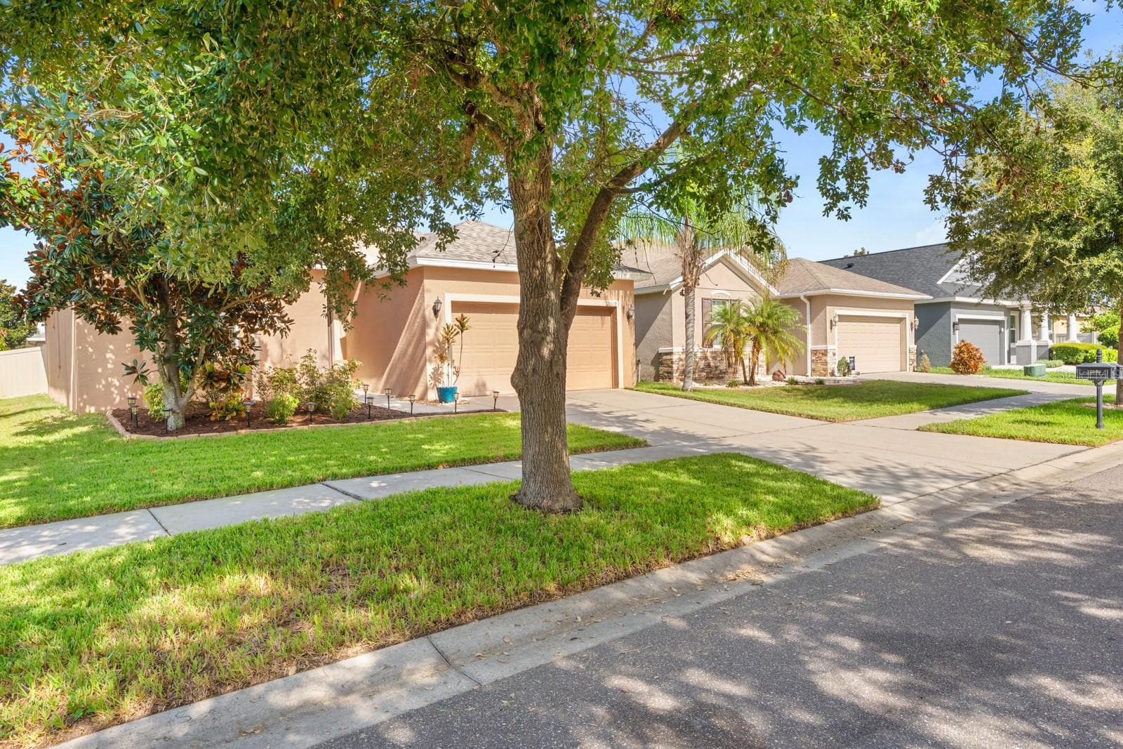 Single Family Residence at 12009 RAMBLING STREAM, RIVERVIEW, photo 4 of 47