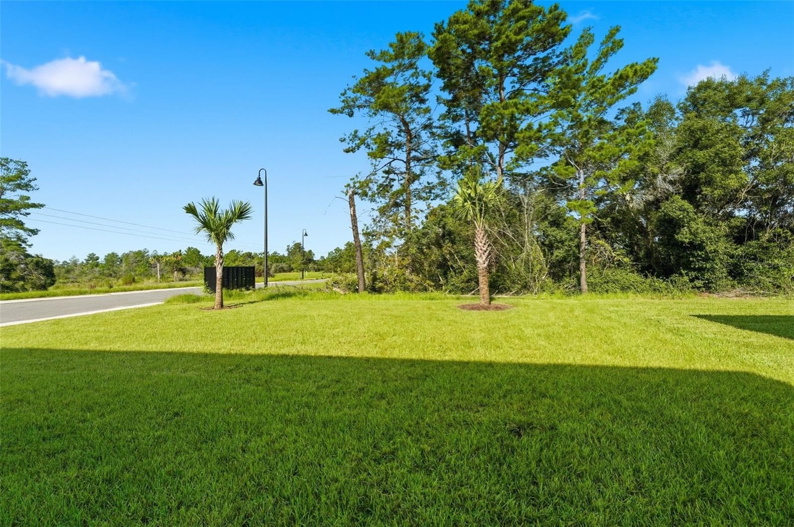 Rear View - 748 FARFIELDS ST, DELAND