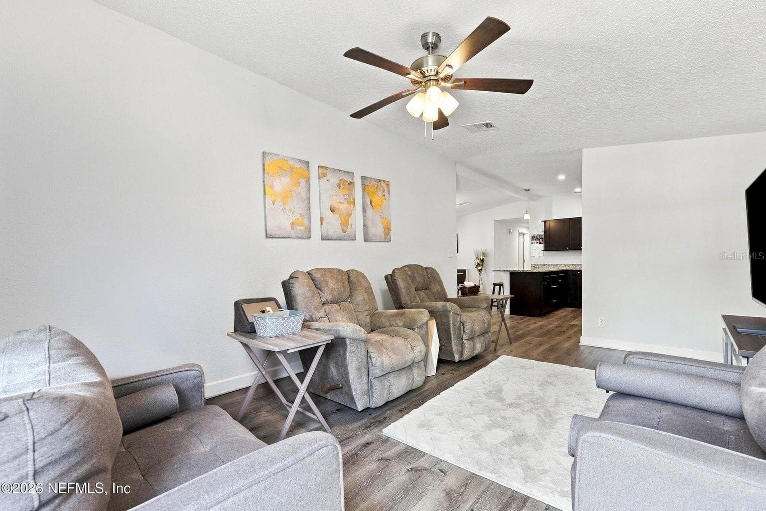 Living Area - 905 SAINT JOHNS AVE, GREEN COVE SPRINGS