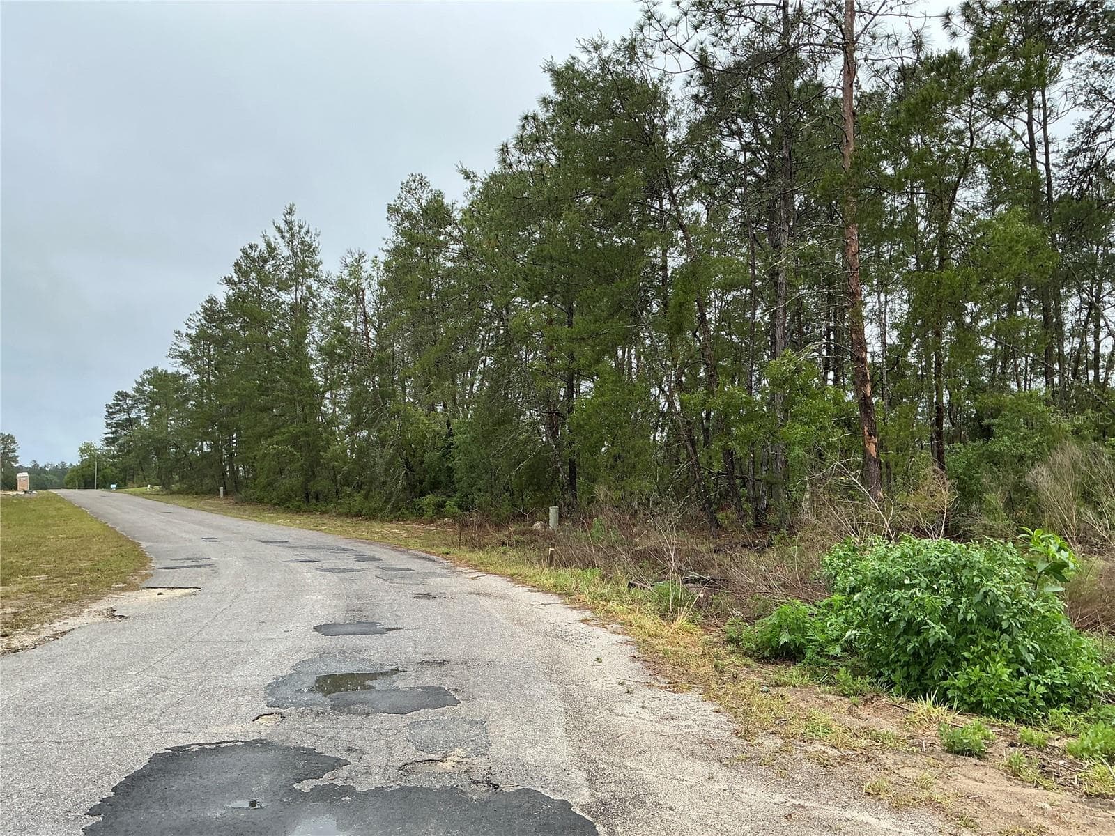 Land at 16914 SW 44TH CIR, OCALA, photo 6 of 6