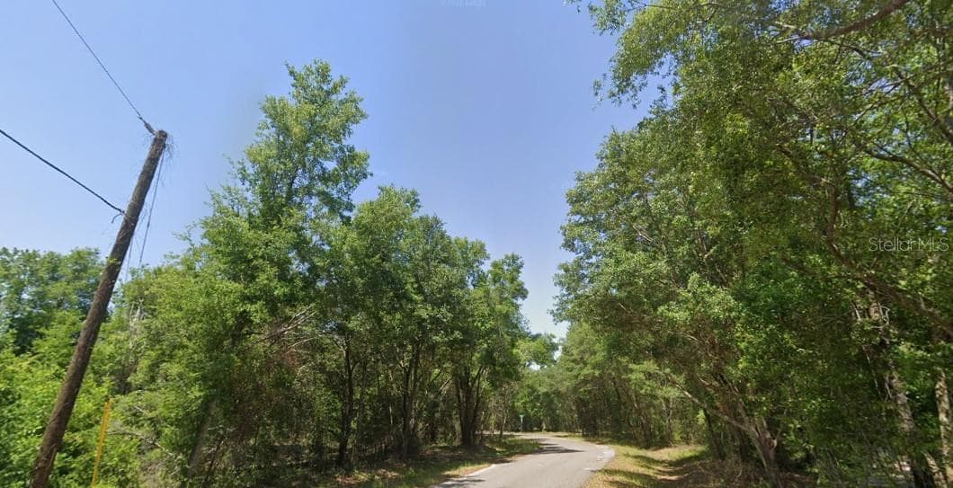 Land at 77 BAY COURT PASS, OCKLAWAHA, photo 3 of 4