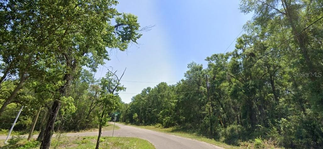 Land at 77 BAY COURT PASS, OCKLAWAHA, photo 4 of 4