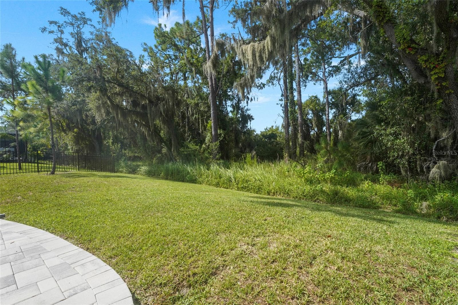 Beautiful, private backyard with mature oaks - 3541 SECLUDED CT, SARASOTA