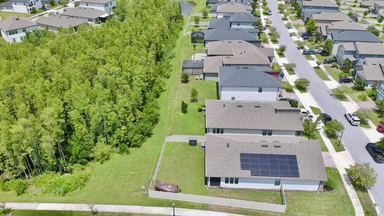 Single Family Residence at 9723 CONEFLOWER CT, LAND O LAKES, photo 6 of 32