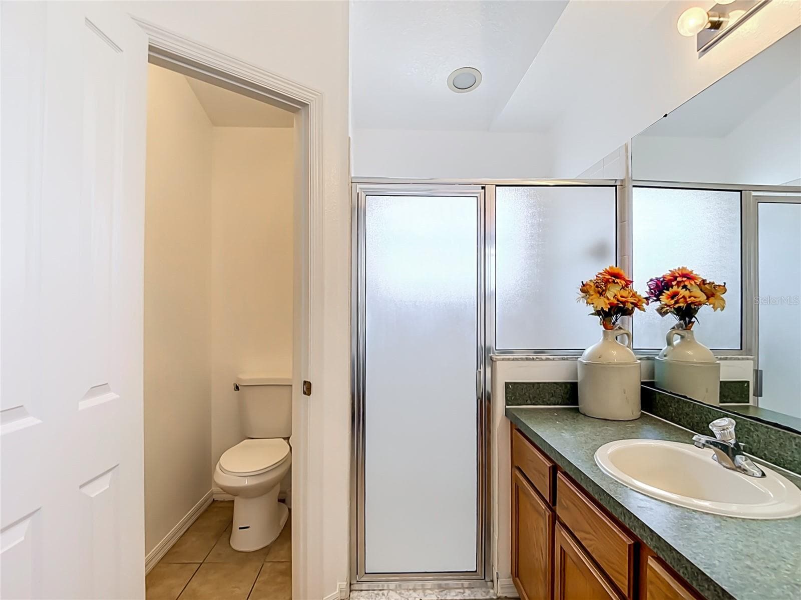 Single Family Residence at 24443 SUMMER WIND CT, LUTZ, photo 22 of 40