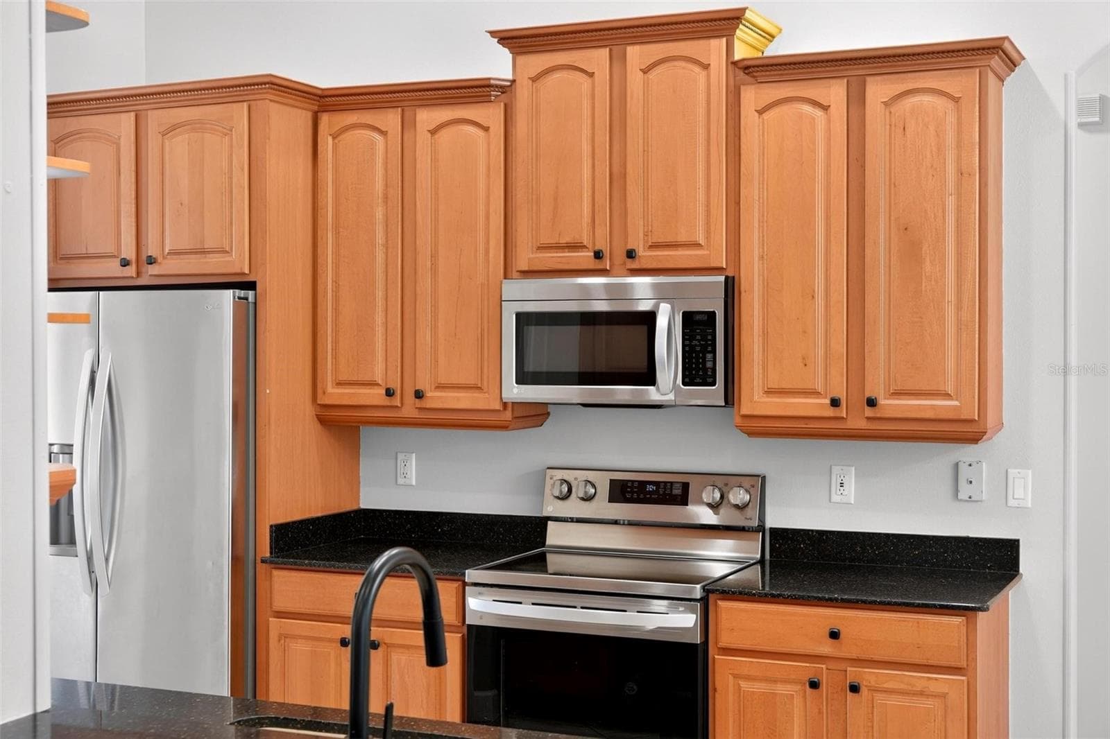 Single Family Residence at 1070 CEASARS CT, MOUNT DORA, photo 29 of 100