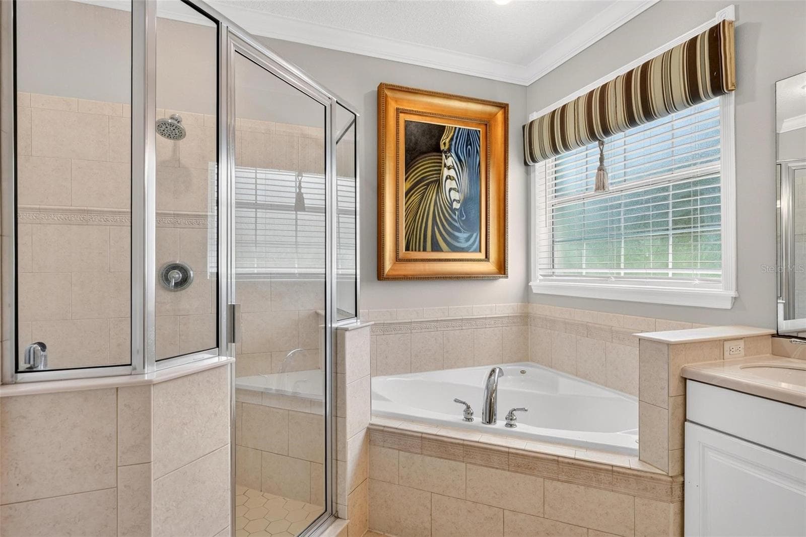Single Family Residence at 1070 CEASARS CT, MOUNT DORA, photo 53 of 100