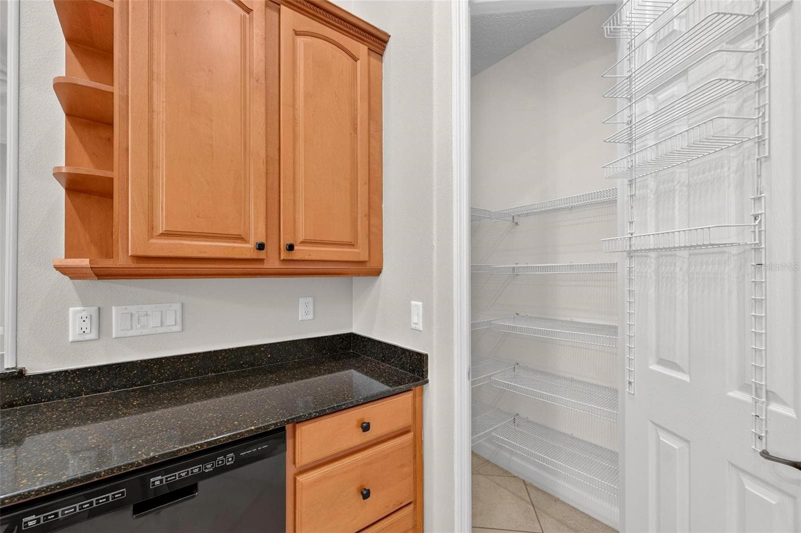 Single Family Residence at 1070 CEASARS CT, MOUNT DORA, photo 63 of 100