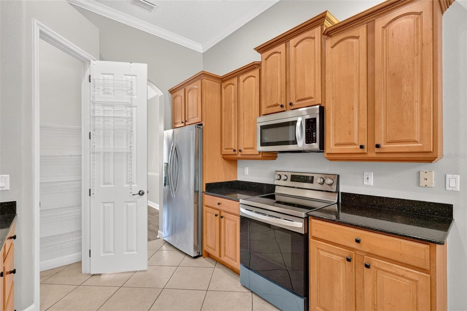 Single Family Residence at 1070 CEASARS CT, MOUNT DORA, photo 64 of 100