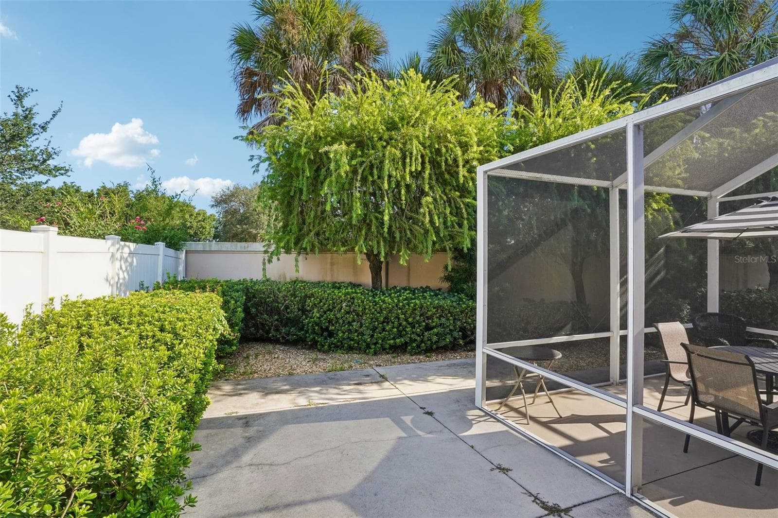 Backyard into Screen in Lanai - 583 ARTEAGA WAY, THE VILLAGES