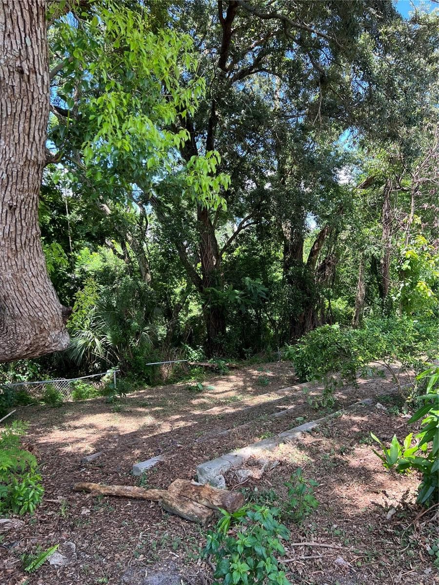 Backyard - 5847 HARRINGTON DR, ORLANDO