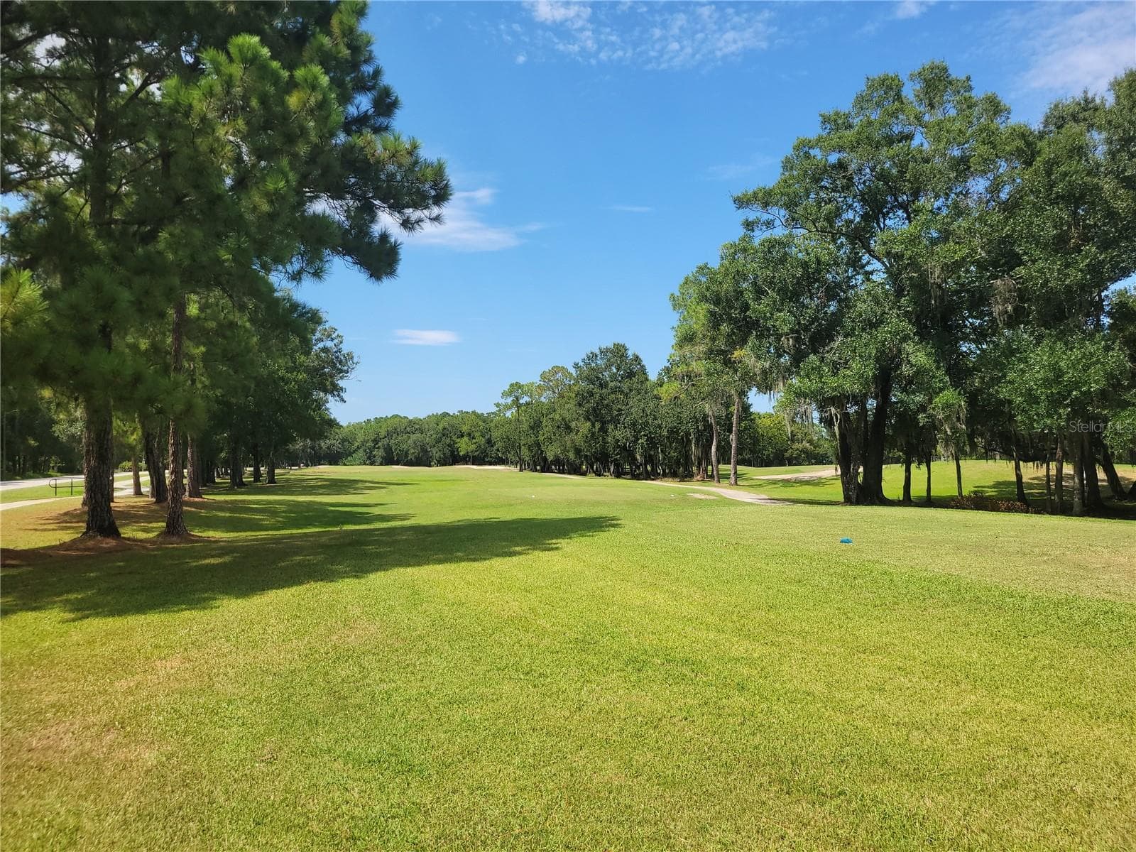 Fairways - 15611 SHOAL CREEK PL, ODESSA