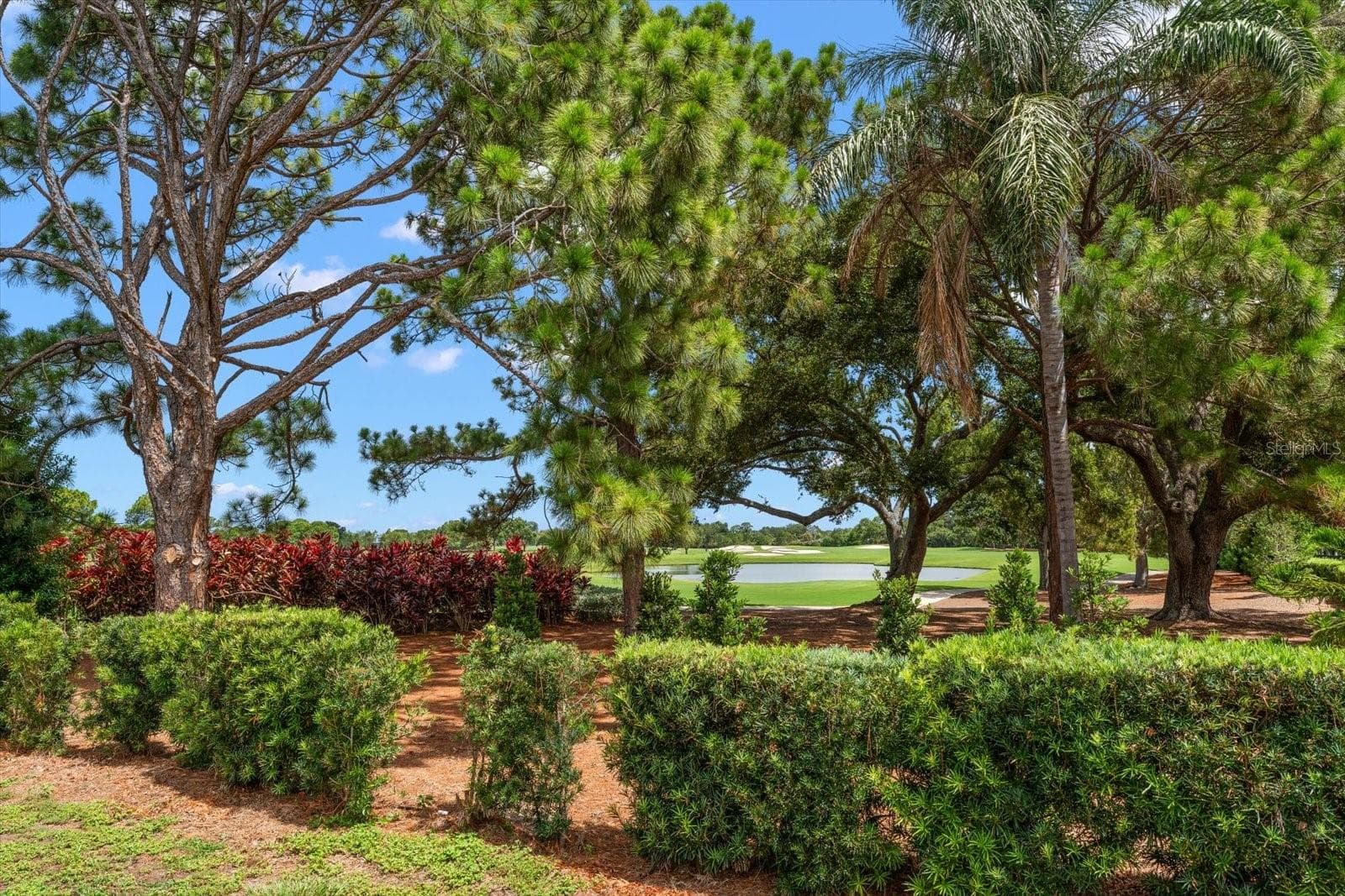 Single Family Residence at 668 MEHLENBACHER RD, BELLEAIR, photo 74 of 85