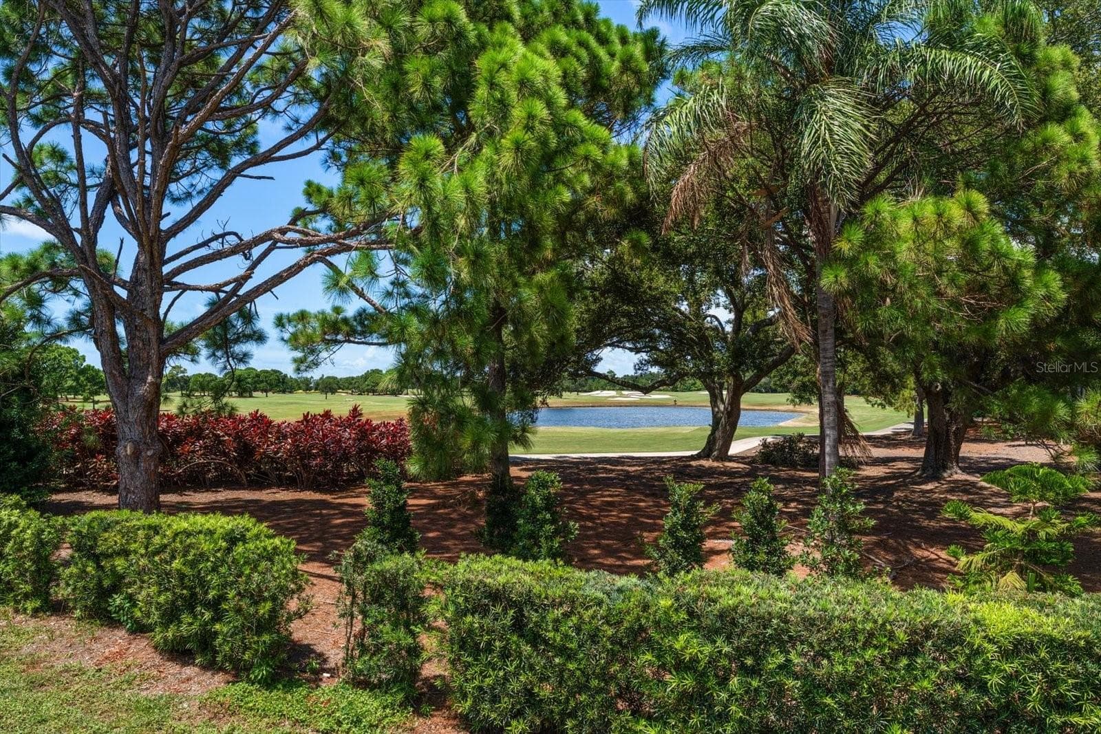 Single Family Residence at 668 MEHLENBACHER RD, BELLEAIR, photo 77 of 85