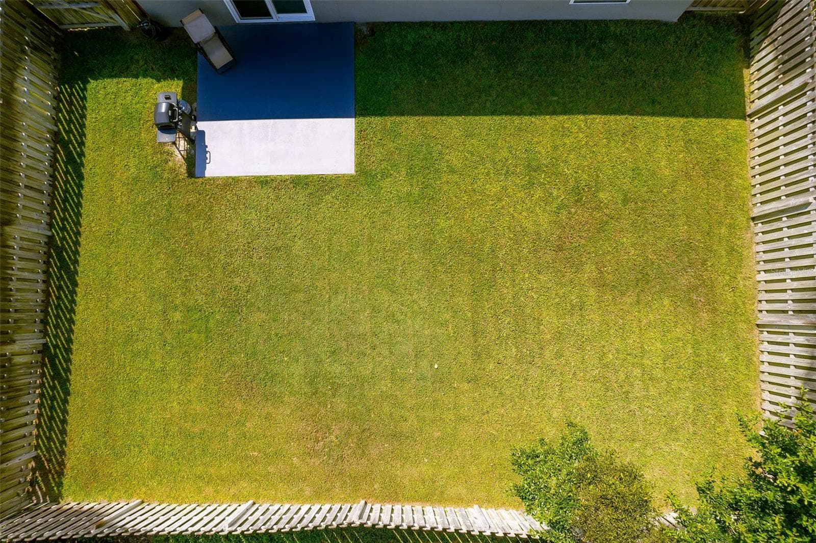 Backyard-fully fenced - 138 BRIGHTVIEW DR, LAKE MARY