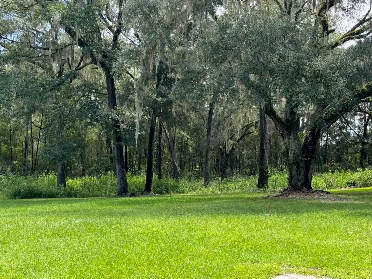 Land at 12125 NW 100TH ST, OCALA, photo 2 of 15