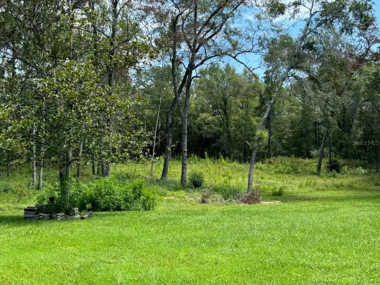 Land at 12125 NW 100TH ST, OCALA, photo 6 of 15