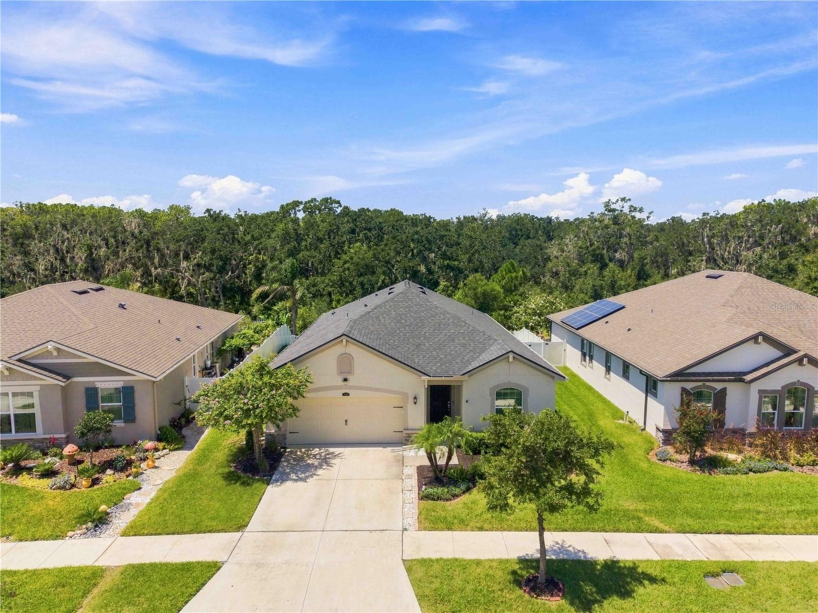 Single Family Residence at 12943 SATIN LILY DR, RIVERVIEW, photo 23 of 32