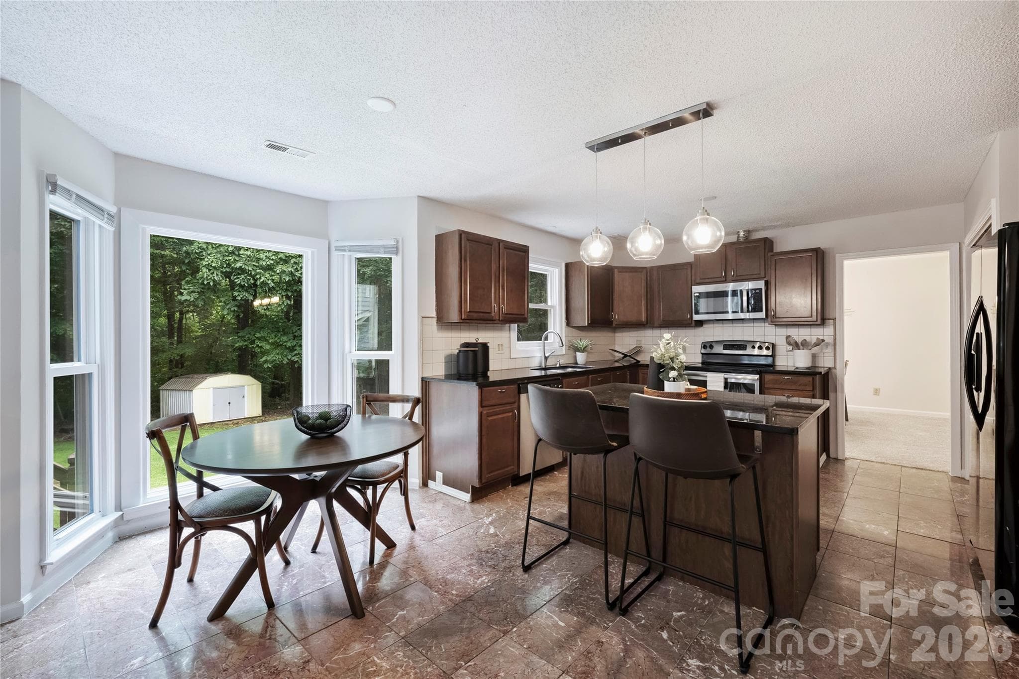 Single Family Residence at 7224 Canyon Drive, Charlotte, photo 9 of 23