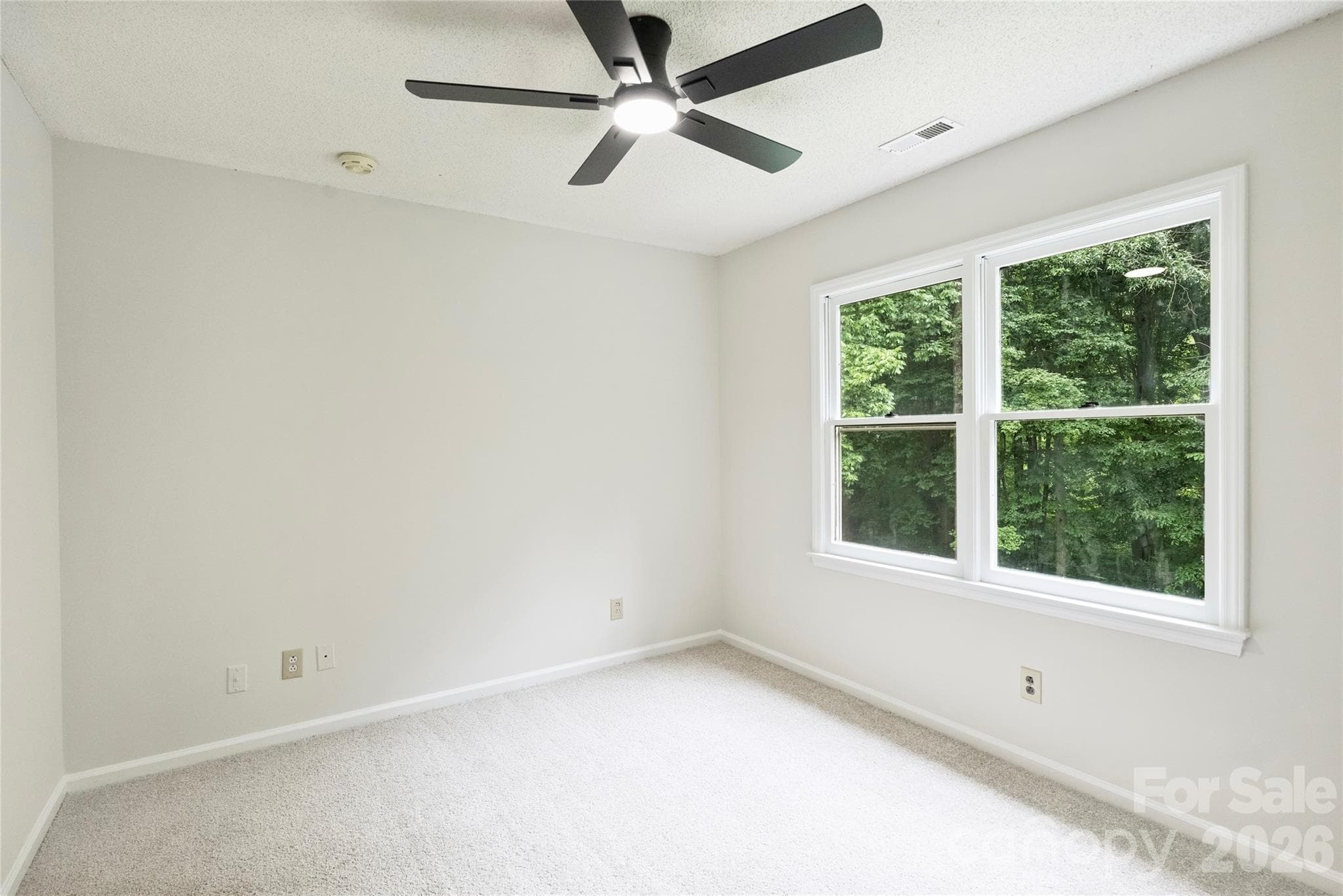 Single Family Residence at 7224 Canyon Drive, Charlotte, photo 19 of 23