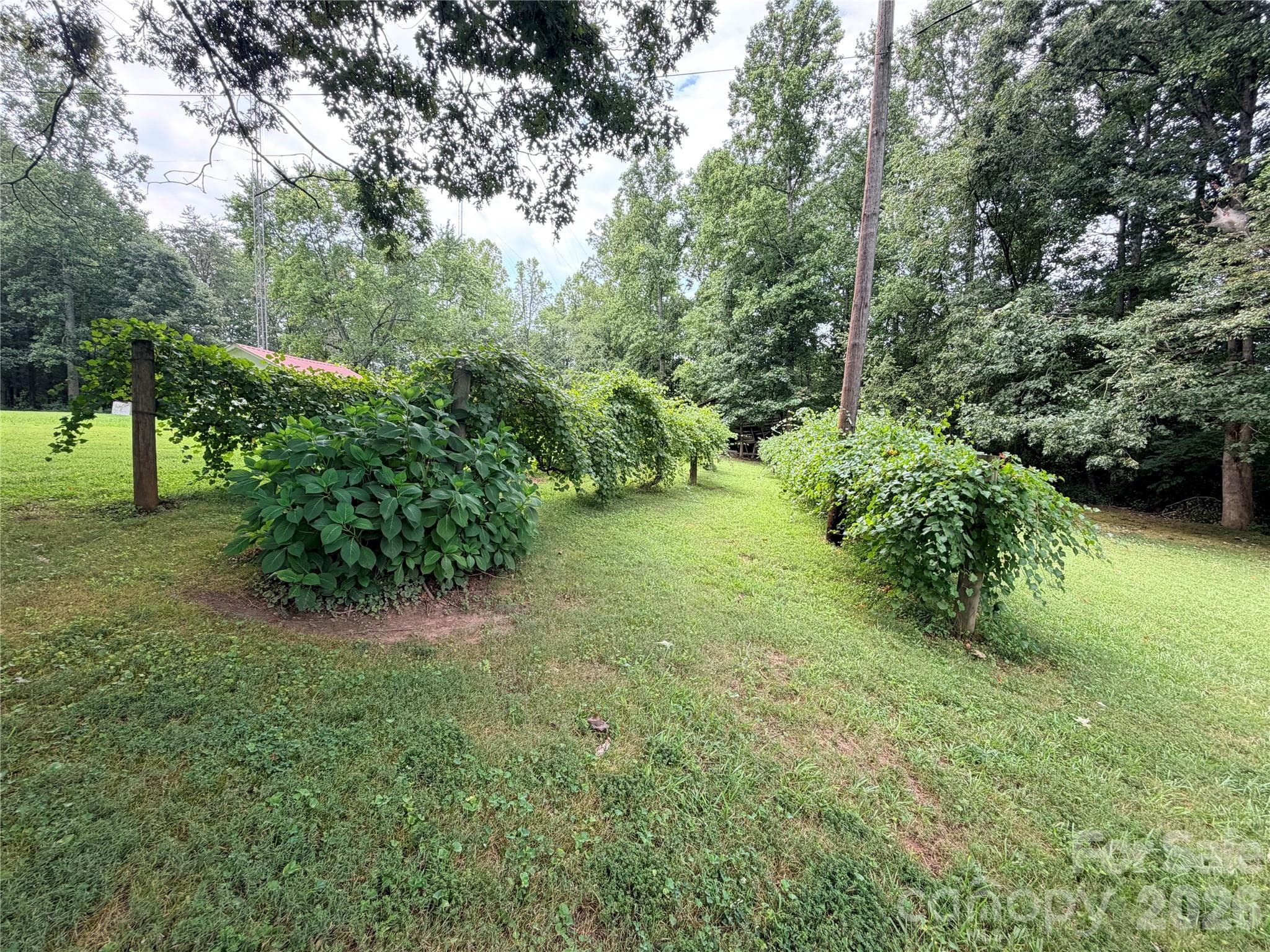 Lot at 00 Delview Road, Cherryville, photo 8 of 9