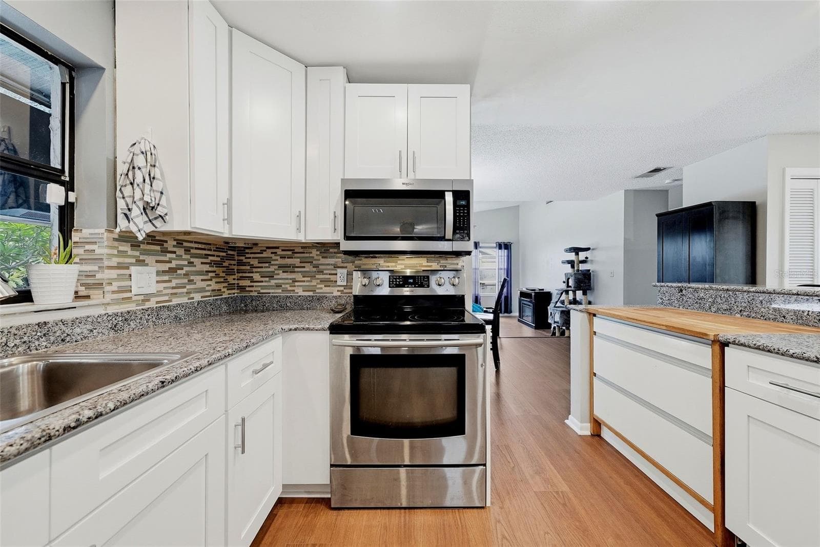 Single Family Residence at 3916 BLOOMING HILL LN, PALM HARBOR, photo 15 of 43