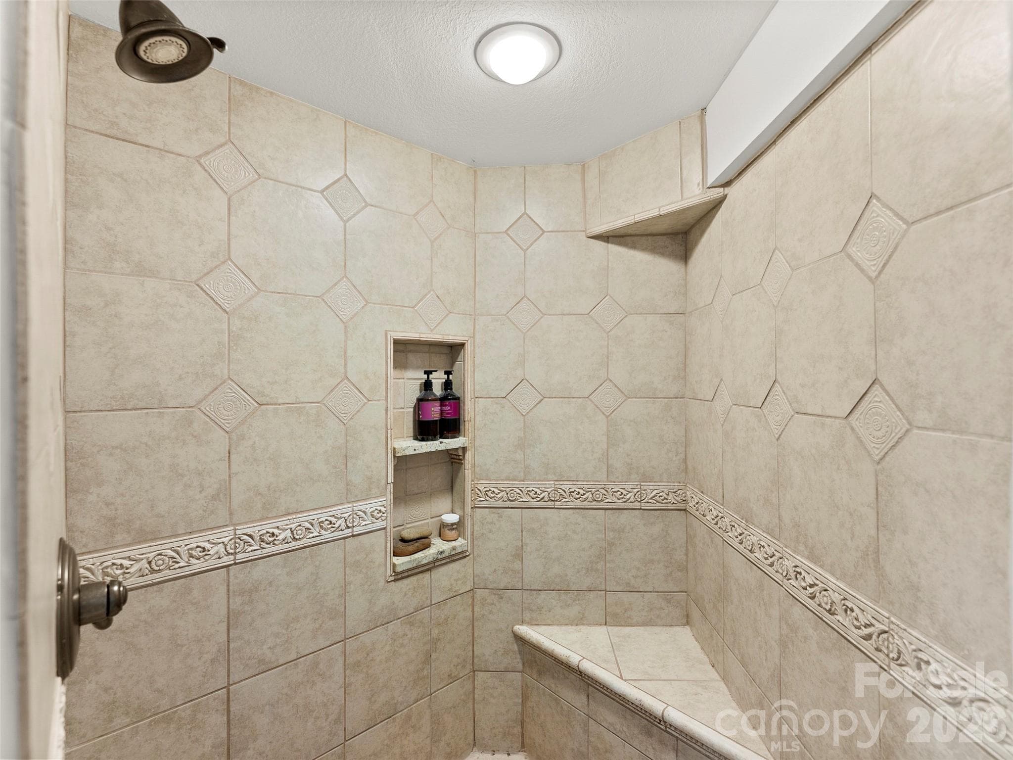 Basement Walk-in Shower - 28 Marne Road, Asheville