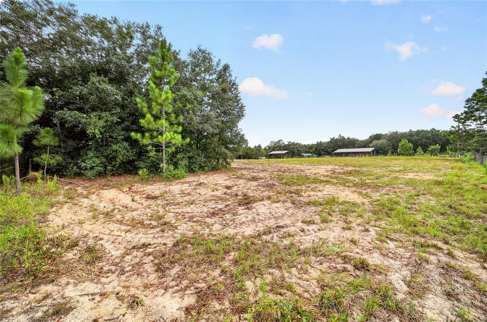 Front Parcel - 3 acres - 15355 SE 113TH STREET RD, OCKLAWAHA