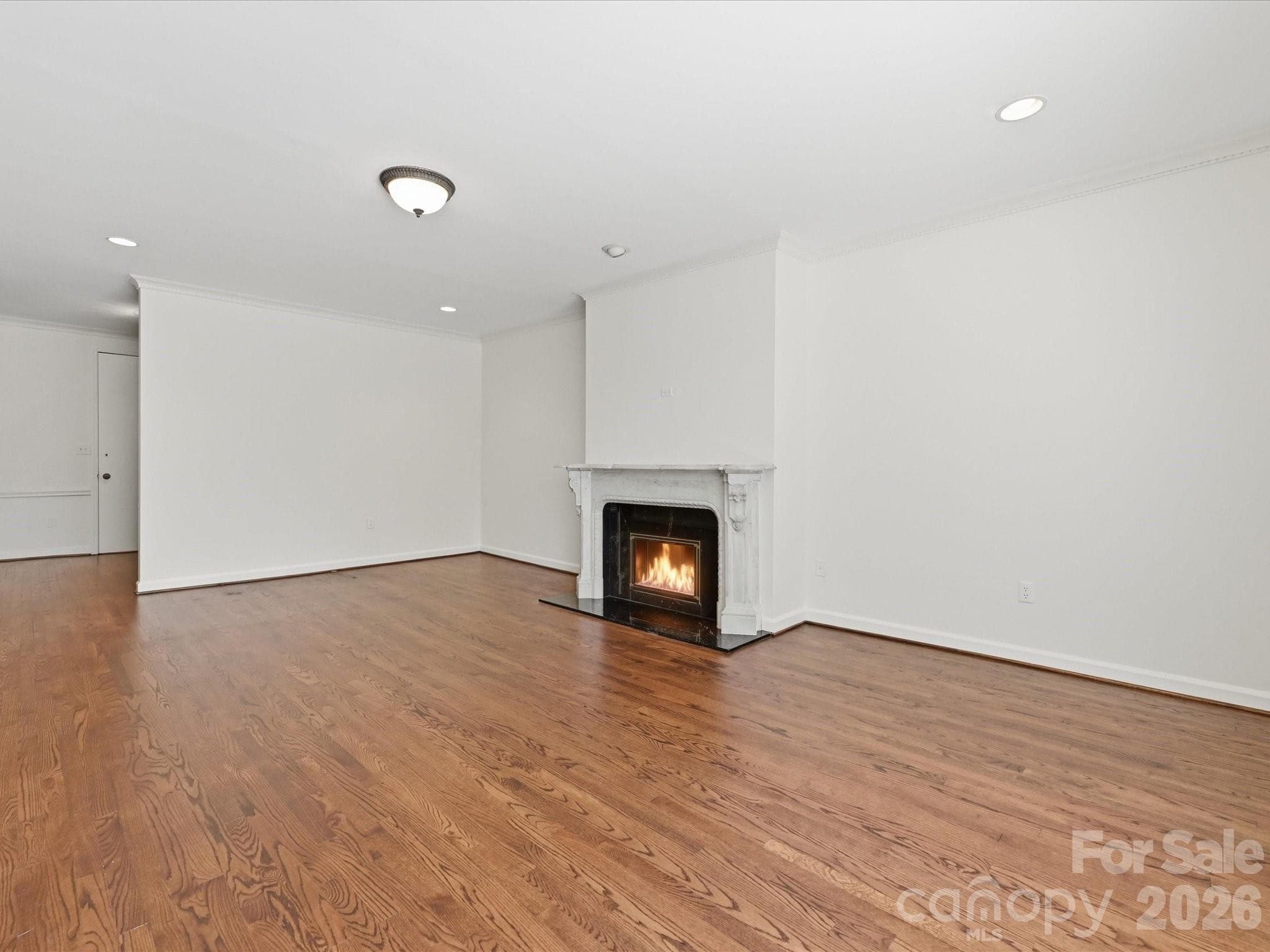 Beautiful marble mantle, hearth, and surround - 806 Cherokee Road, Charlotte