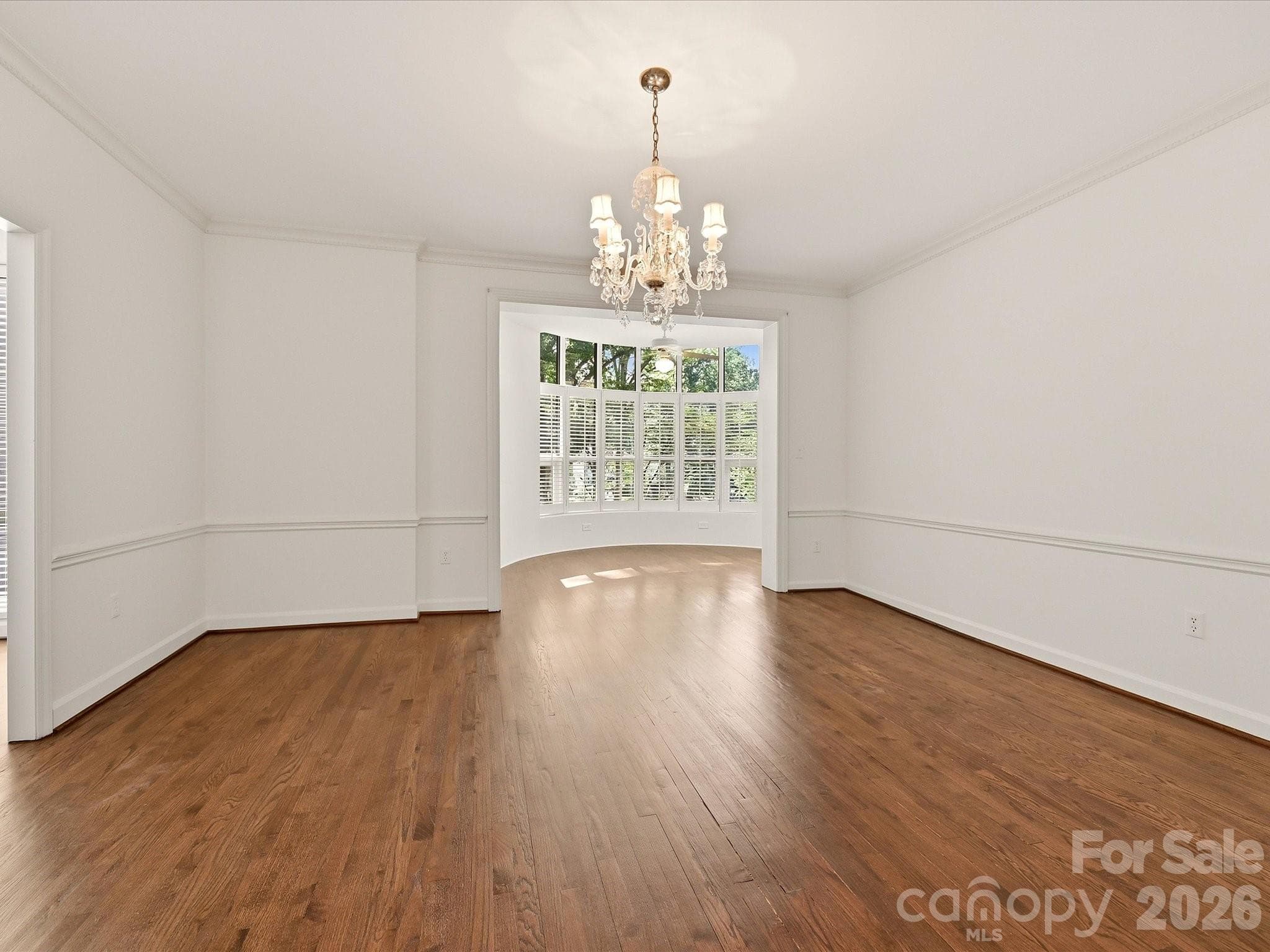 Sunlight from the sunroom floods the dining room - 806 Cherokee Road, Charlotte