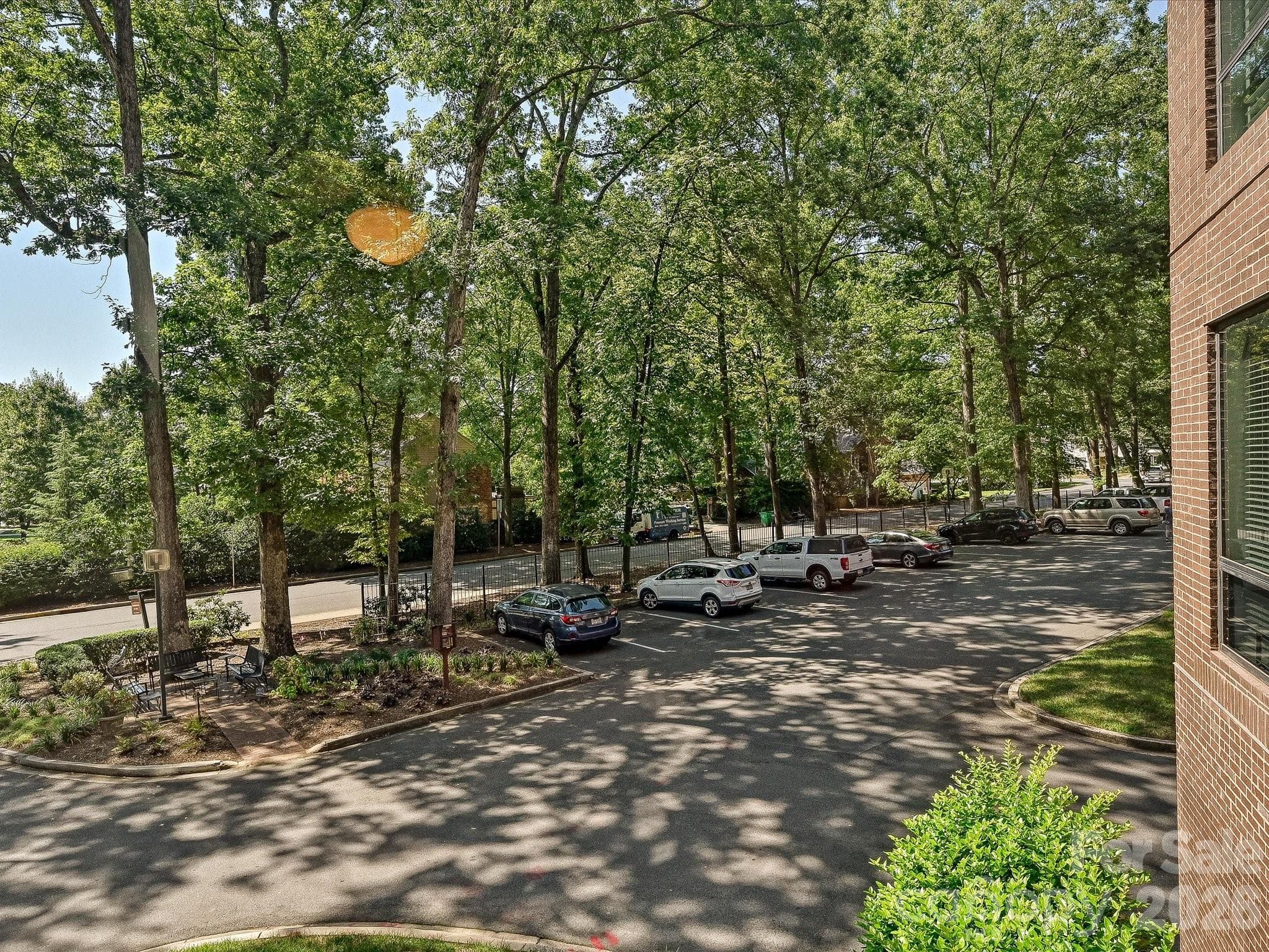 View from sunroom - 806 Cherokee Road, Charlotte