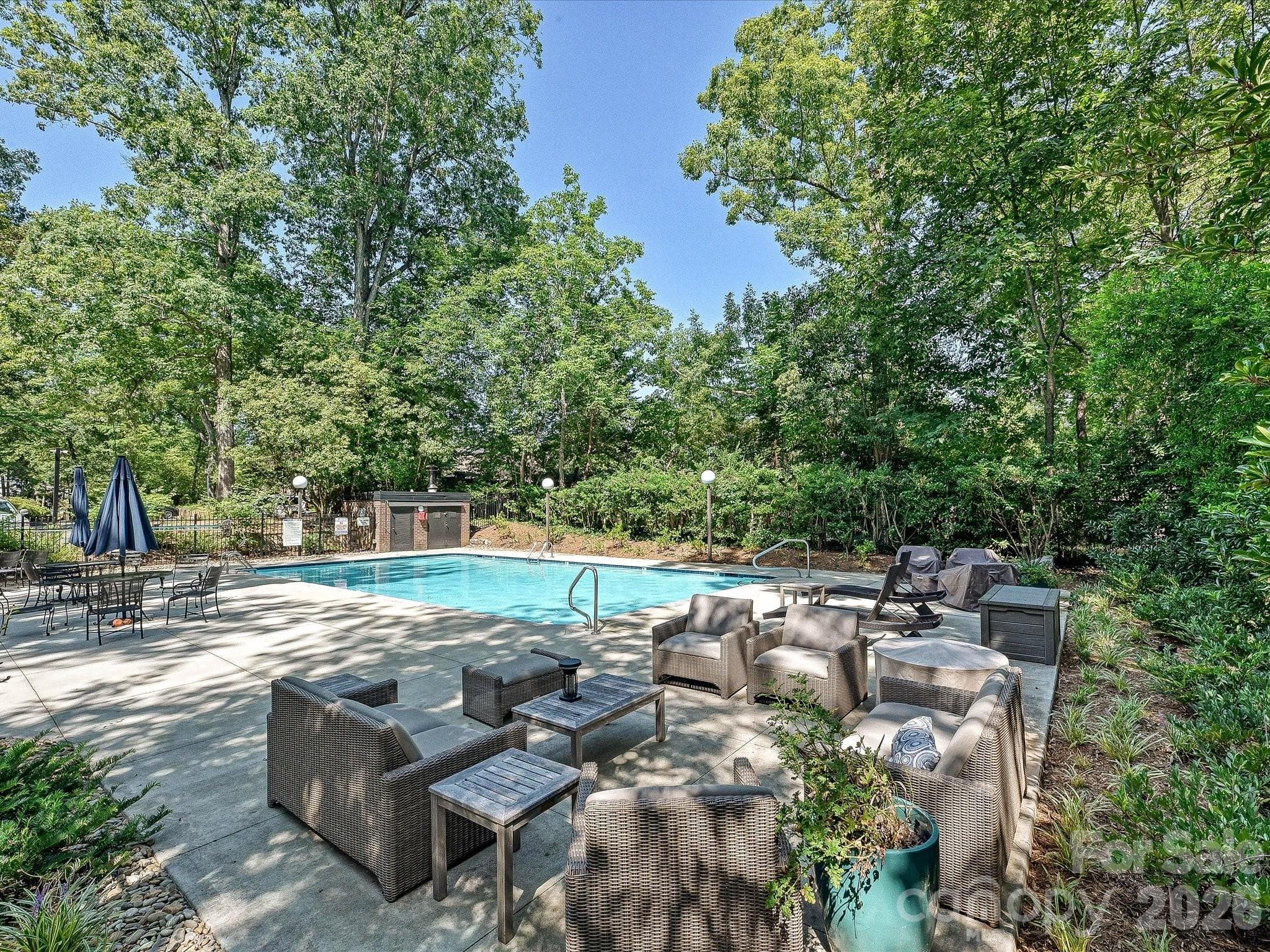 Renovated pool is heated from May to September - 806 Cherokee Road, Charlotte