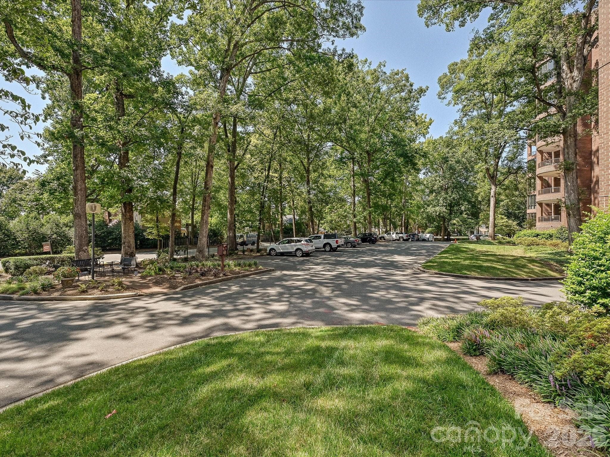 Lovely grounds and mature hardwood trees - 806 Cherokee Road, Charlotte