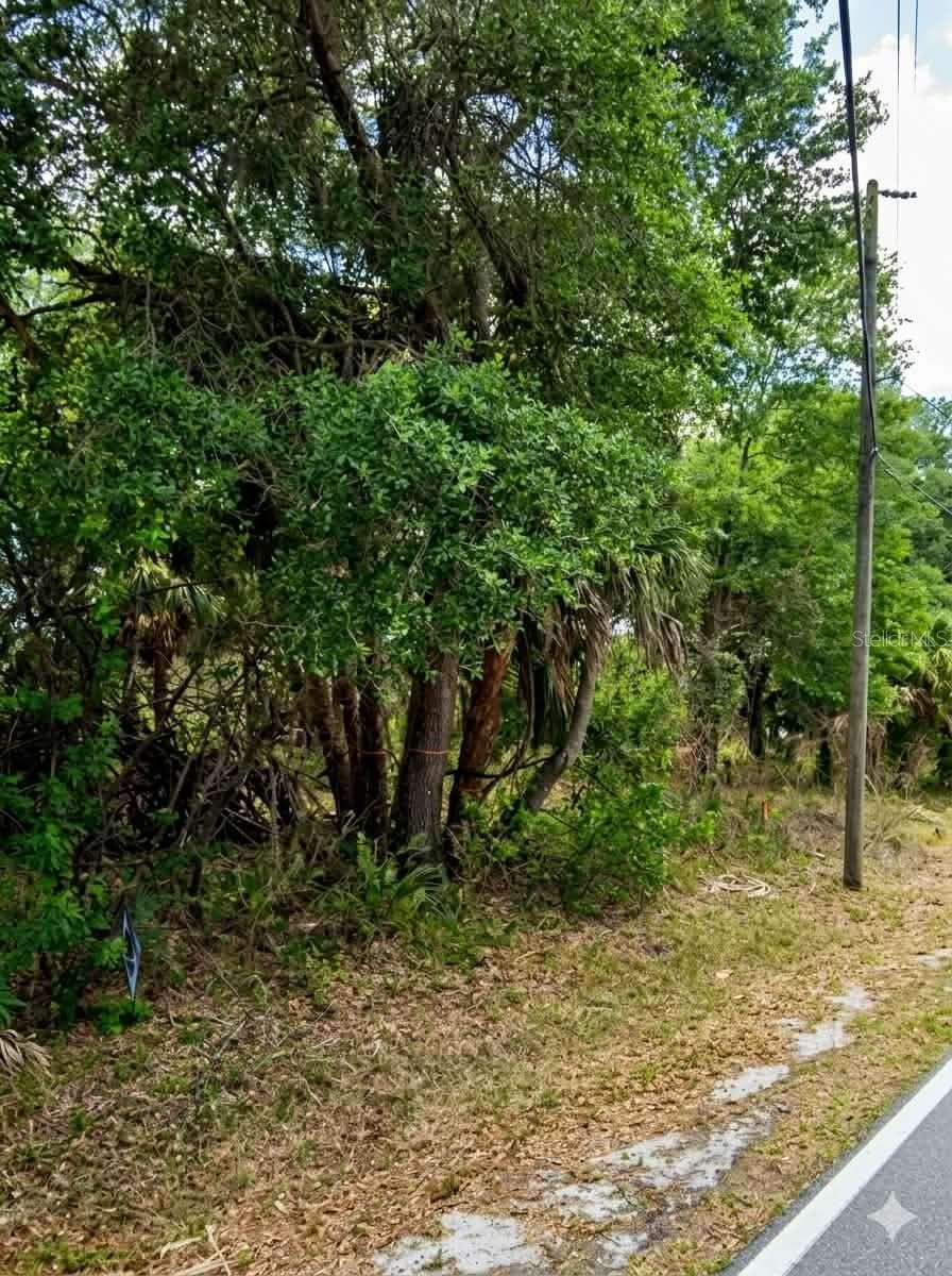 Land at 2605 CANNOLOT BLVD, PORT CHARLOTTE, photo 2 of 6