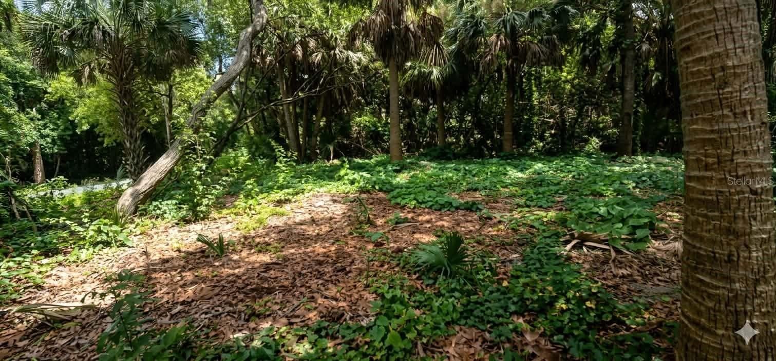 Land at 2605 CANNOLOT BLVD, PORT CHARLOTTE, photo 5 of 6