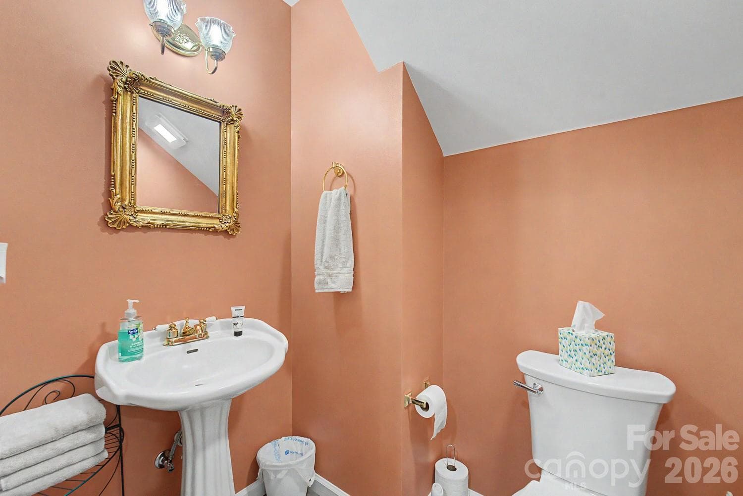 downstairs half bath - 48 Main Trace, Franklin