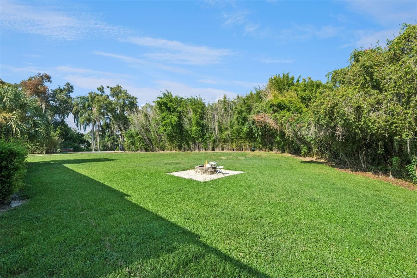 Side yard with soaring bamboo for added privacy - 25 LAKEWOOD CSWY, WINTER HAVEN