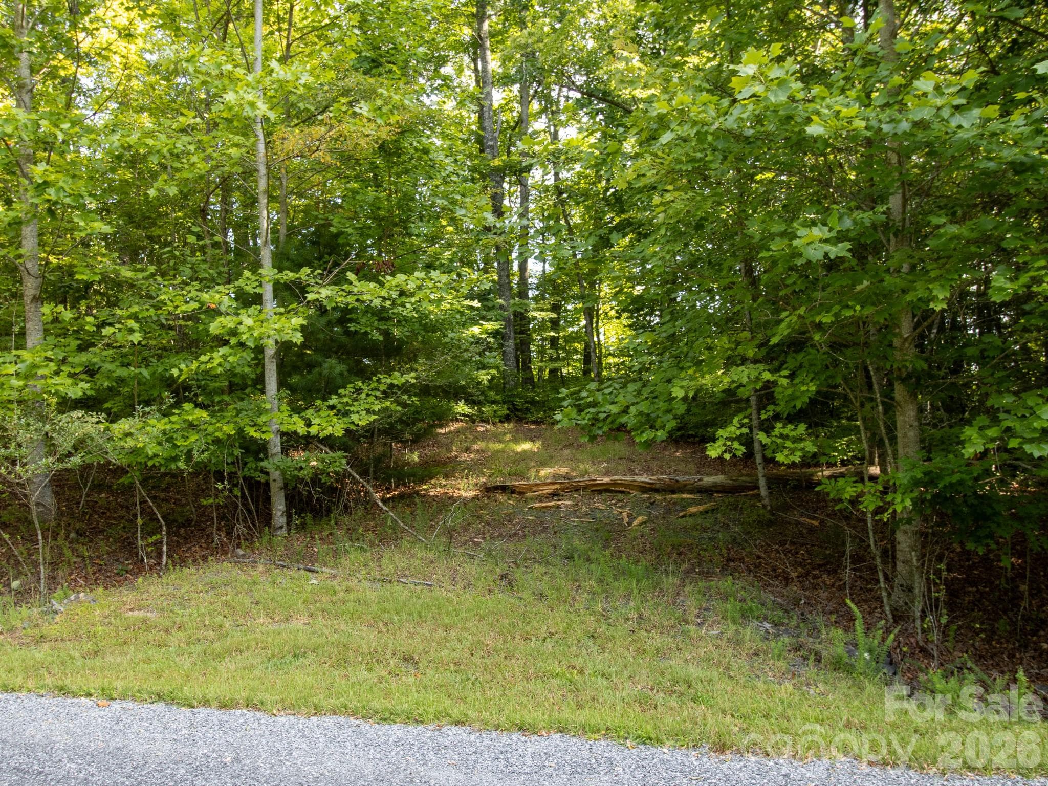 Partly cleared driveway - TBD Kelly Mountain Road, Brevard