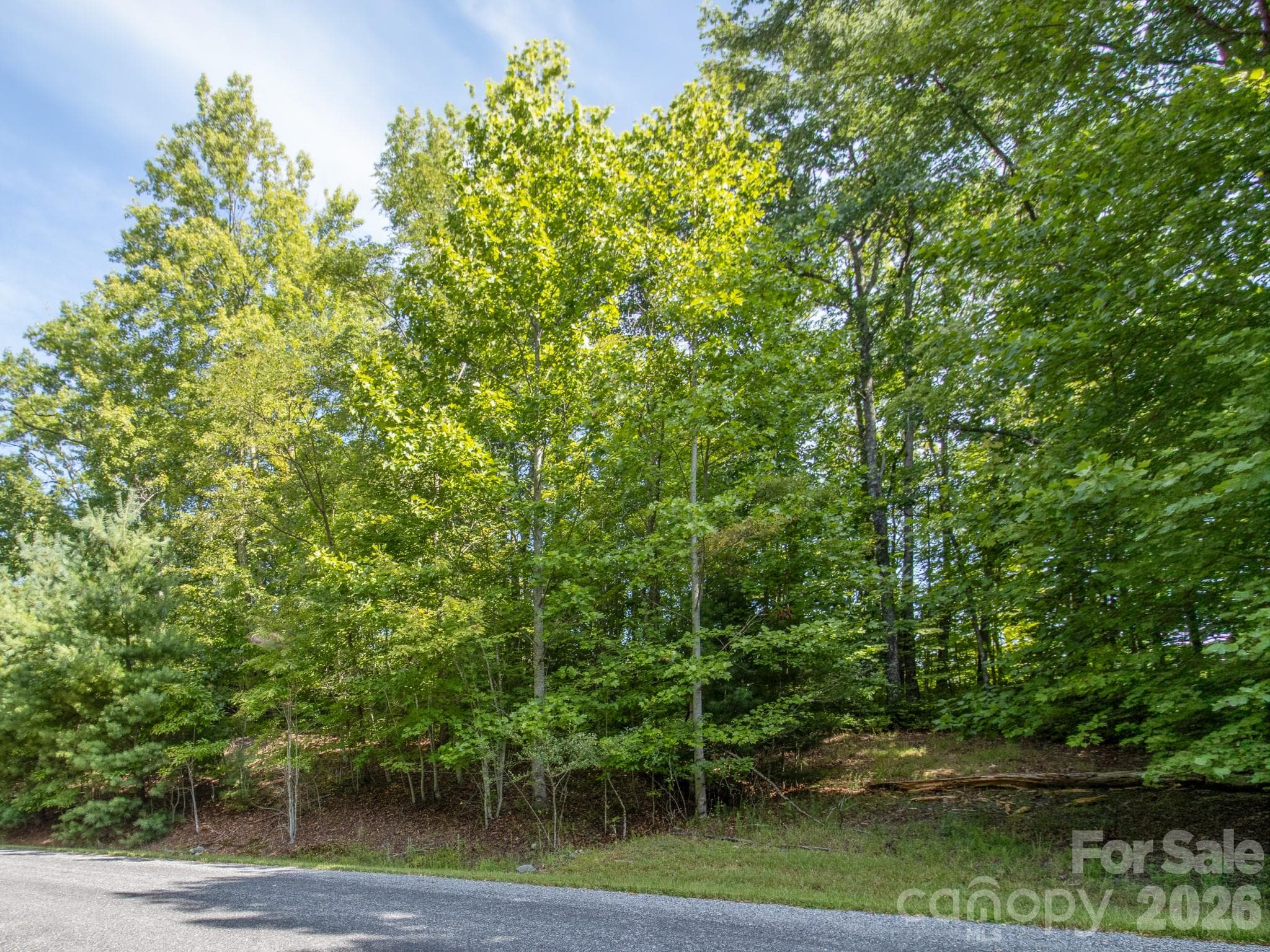 Lot at TBD Kelly Mountain Road, Brevard, photo 7 of 14