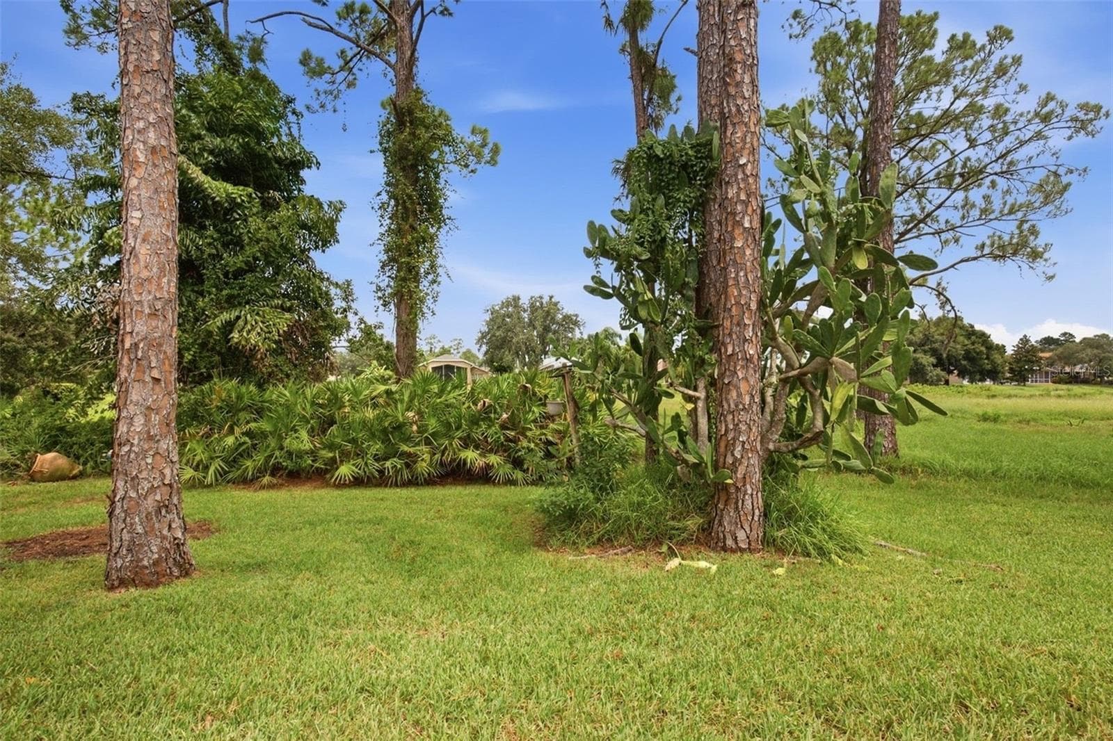 Single Family Residence at 7444 MOORGATE CT, NEW PORT RICHEY, photo 30 of 32