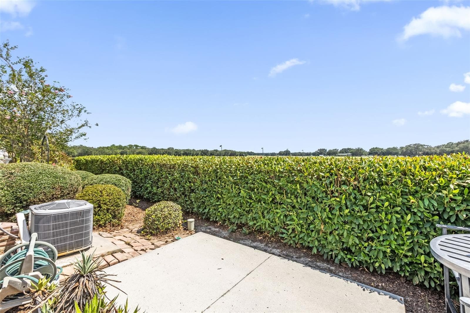 View in back from Patio - 2801 BARBOZA DR, THE VILLAGES