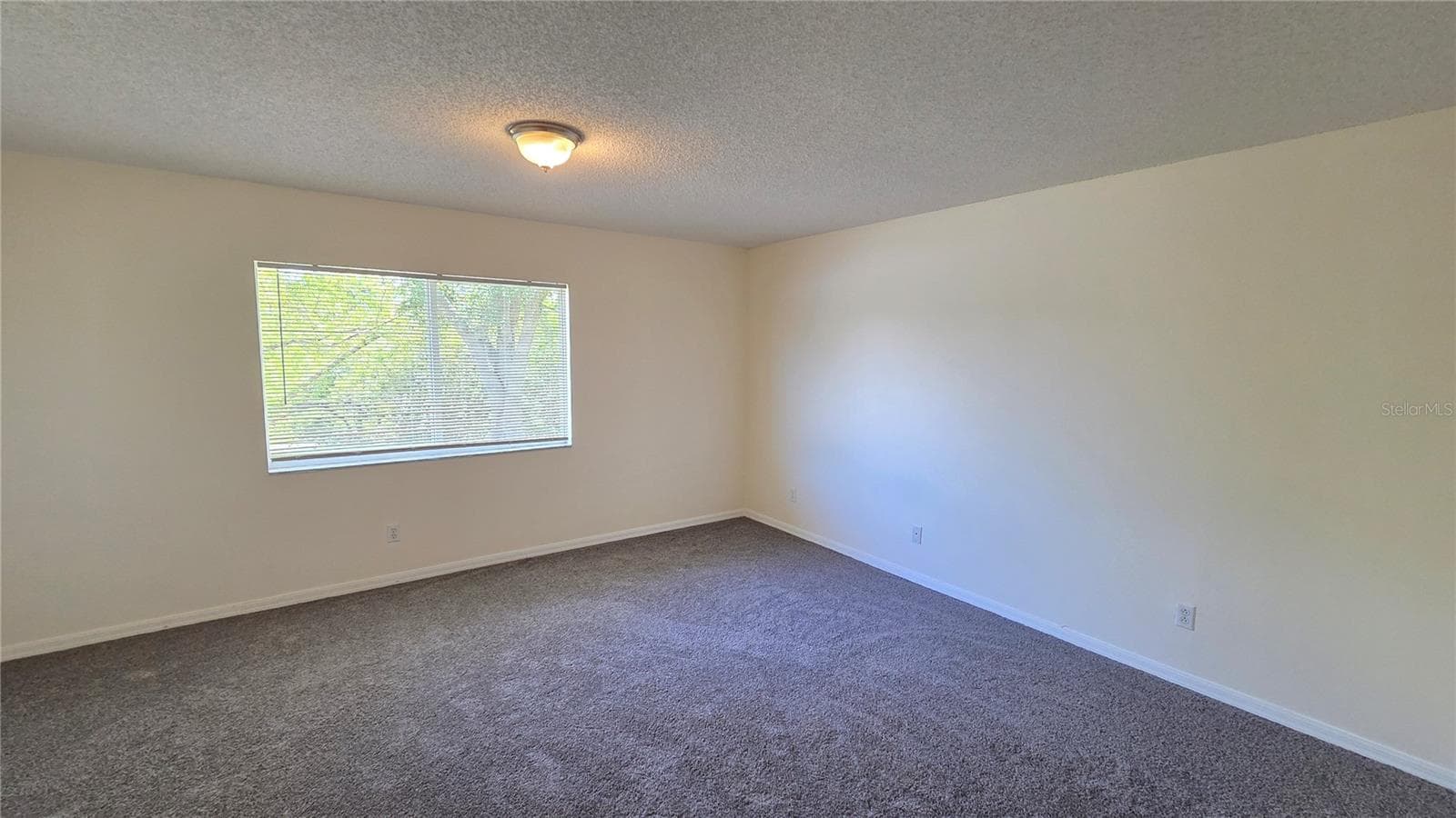 Single Family Residence at 12922 FIELDMOOR CT, RIVERVIEW, photo 10 of 32