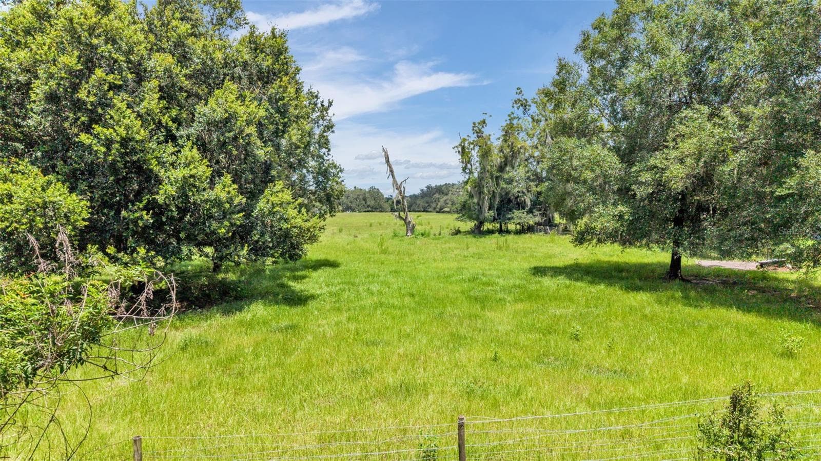 Land at 1620 SPARKMAN RD, PLANT CITY, photo 9 of 13