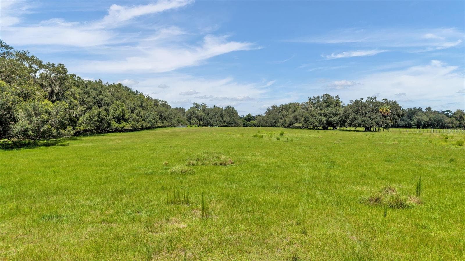 Land at 1620 SPARKMAN RD, PLANT CITY, photo 3 of 13