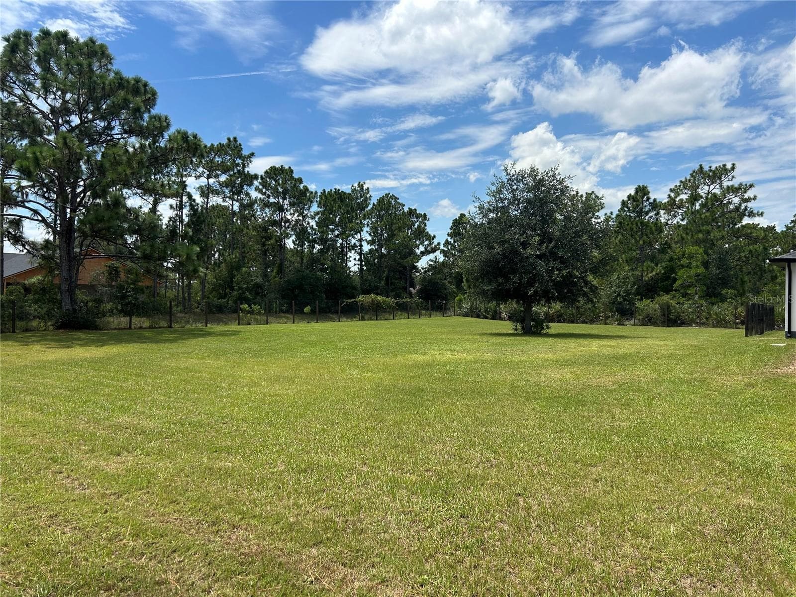 Fenced Back Yard - 19512 MAJESTIC ST, ORLANDO