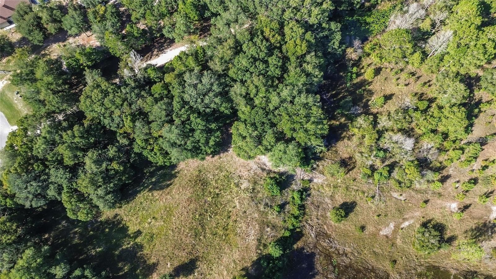 Land at TREE FROG LOT 6 LN, EUSTIS, photo 10 of 19