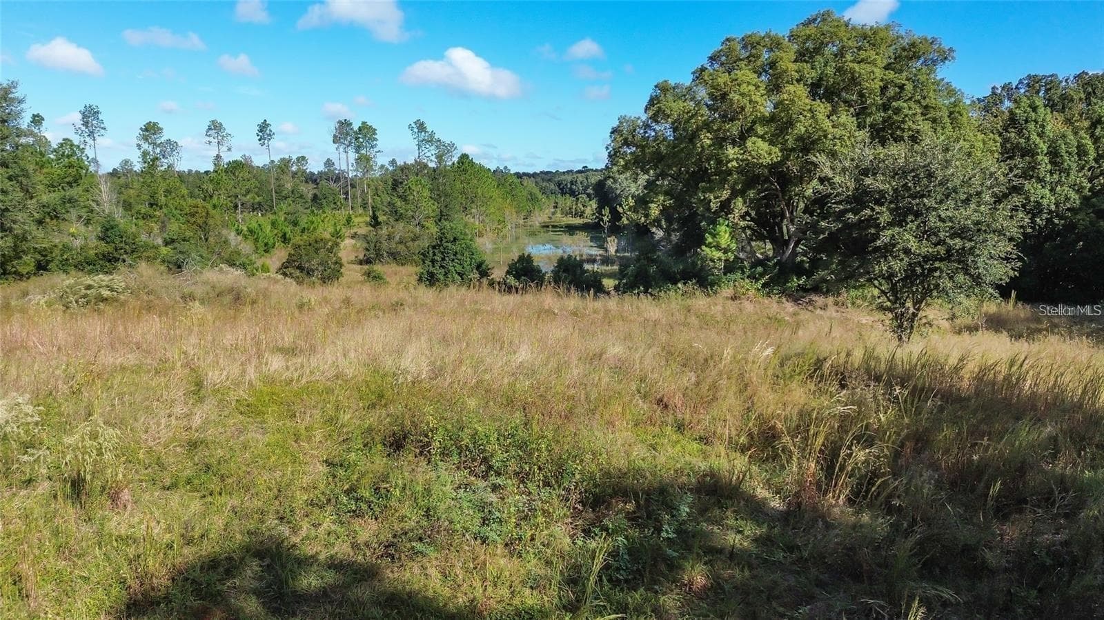 Land at TREE FROG LOT 6 LN, EUSTIS, photo 17 of 19