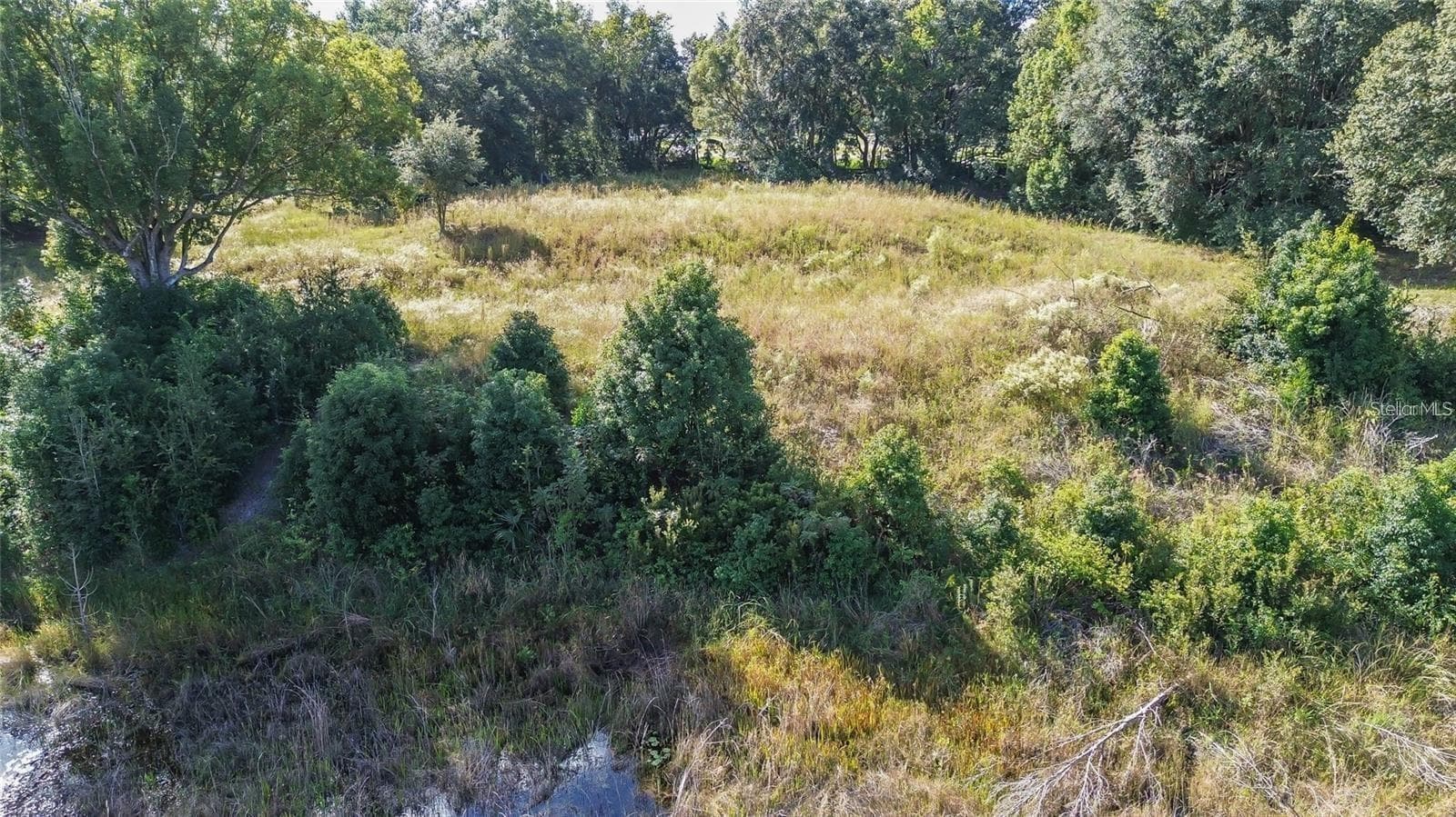 Land at TREE FROG LOT 6 LN, EUSTIS, photo 18 of 19