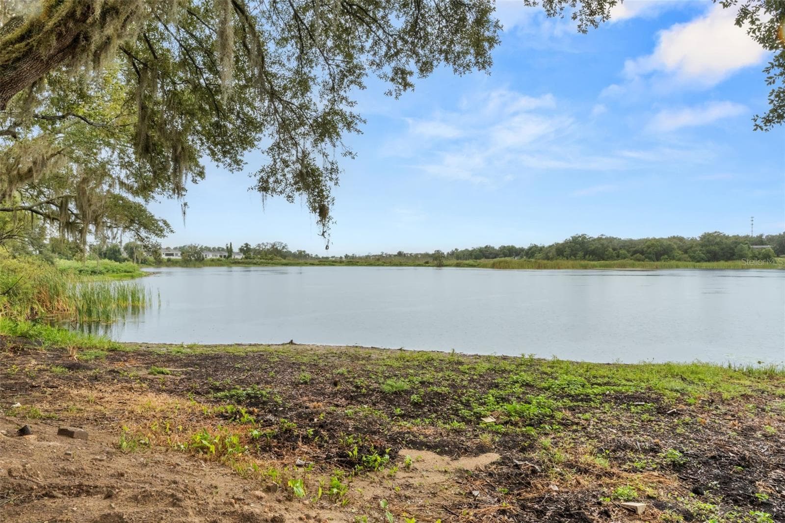 Lake View - 221 S SUNSET AVE, MASCOTTE